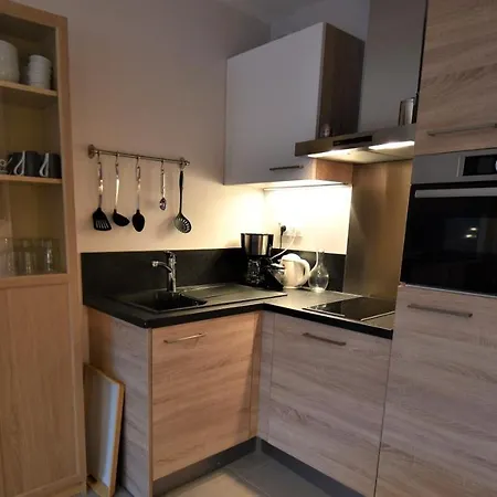 Vaujanylocations - Domaine Du Patre Holiday home Vaujany